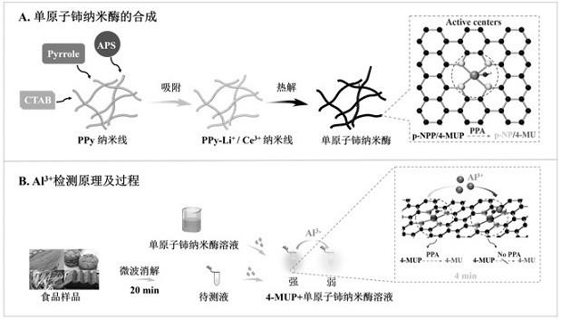 Rapid detection kit for heavy metal Al &lt; 3 + &gt; and application thereof