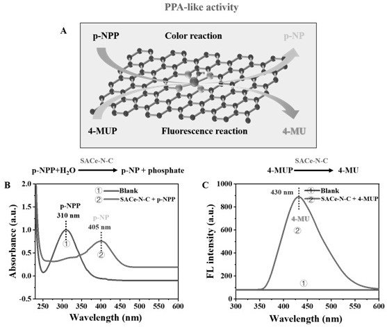 Rapid detection kit for heavy metal Al &lt; 3 + &gt; and application thereof