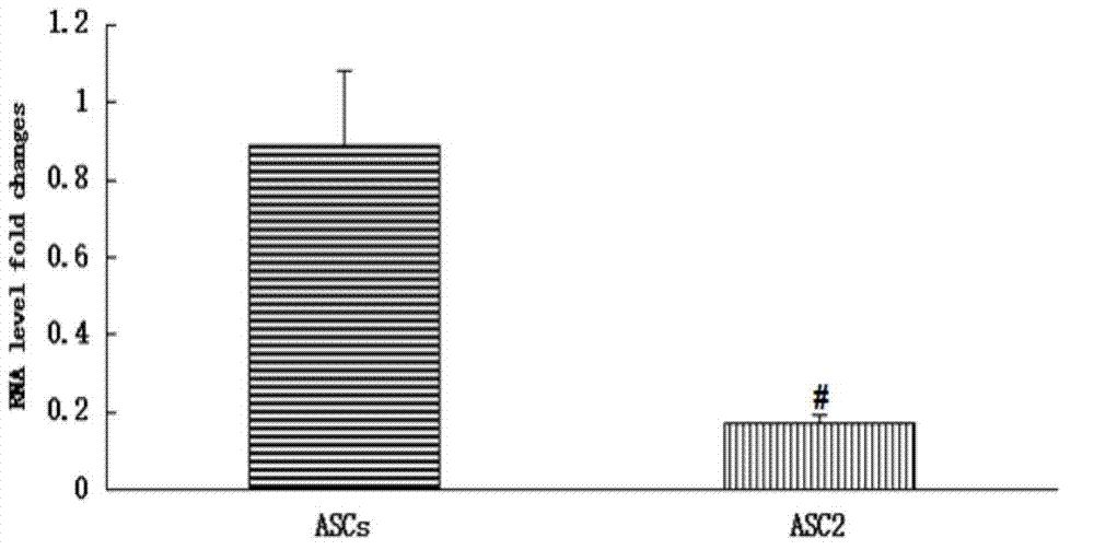 Method for enhancing immunological performance and migration capacity of adipose mesenchymal stem cell