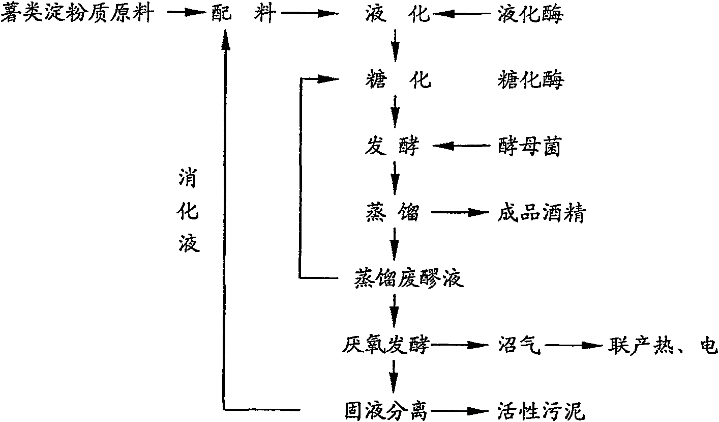 Alcohol crossed circle manufacturing technique with potatoes as the main materials