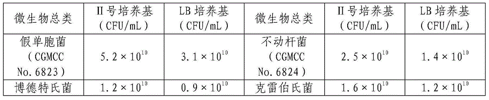 Medium of composite bacterium for culture treatment coking wastewater, and its application