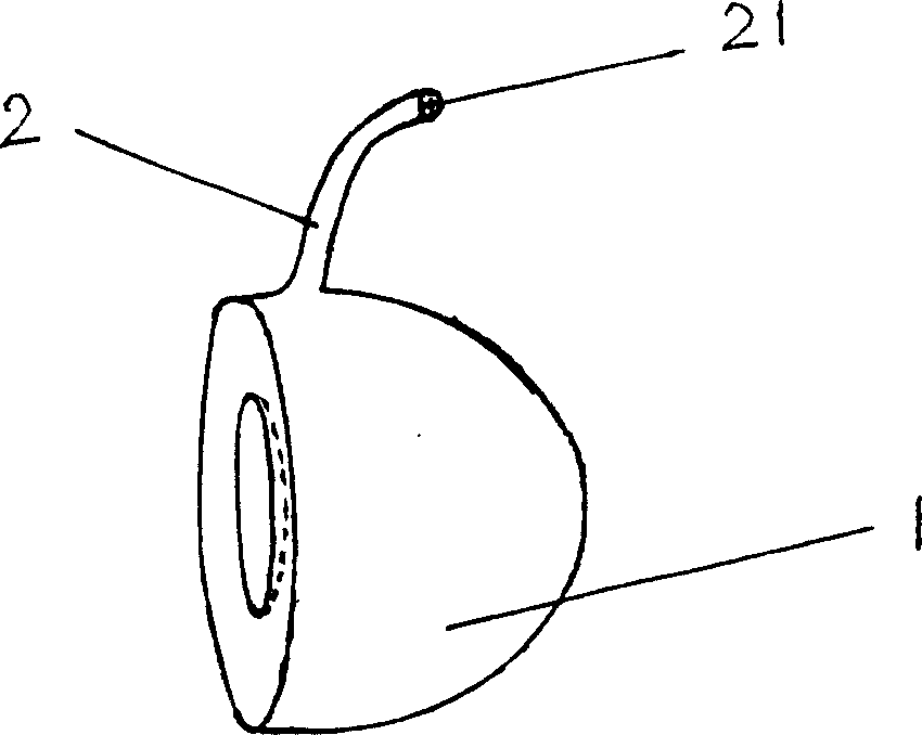 Bag type artificial vitreous body and its mfg. method