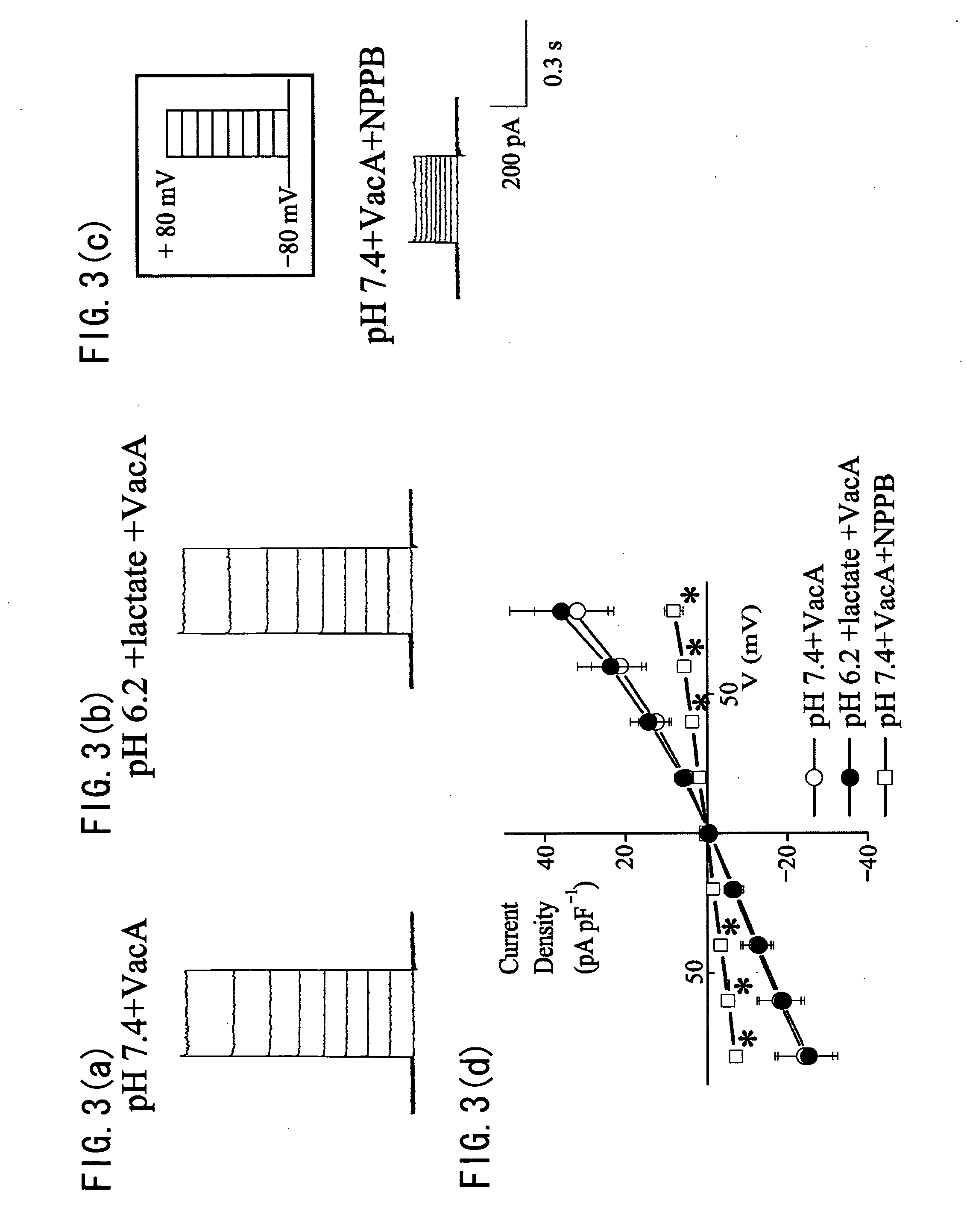 Method for inhibiting cell death, cell death inhibitor, and remedy for disease caused by cell death containing the cell death inhibitor