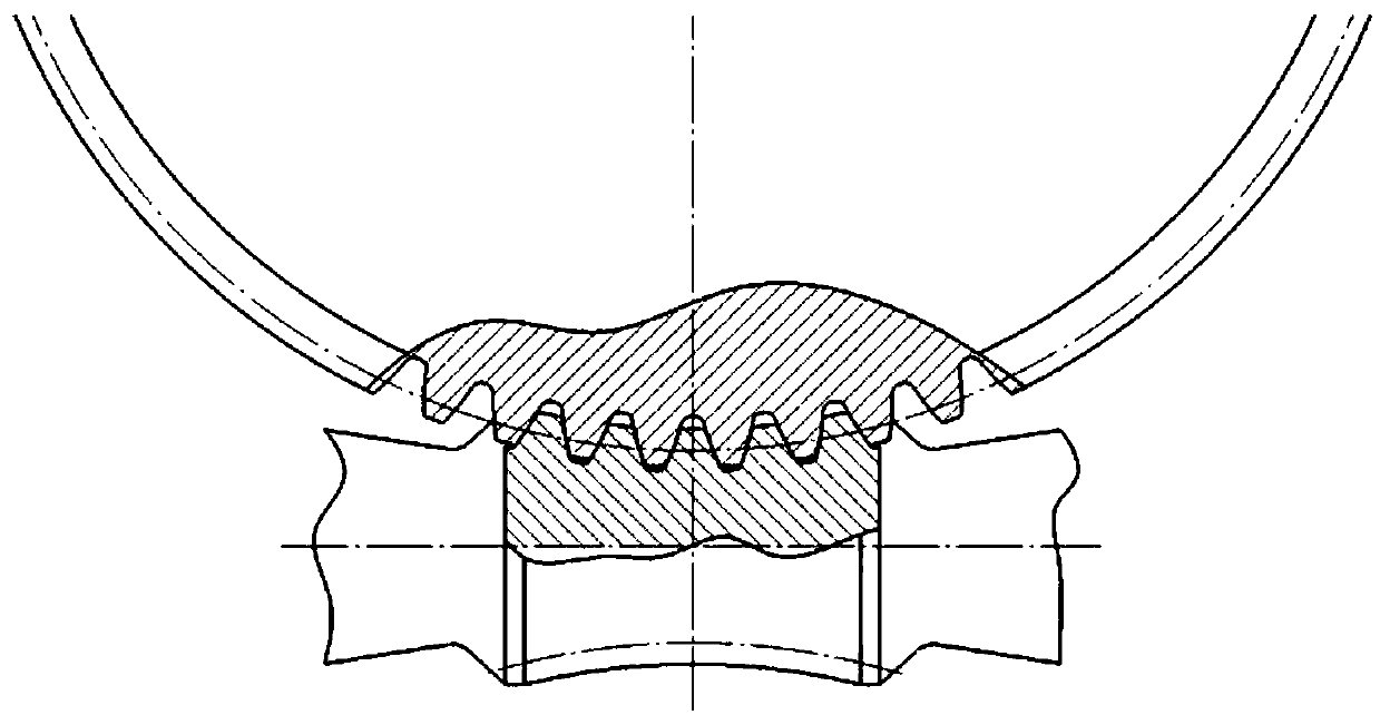 A kind of worm with double involute arc tooth profile