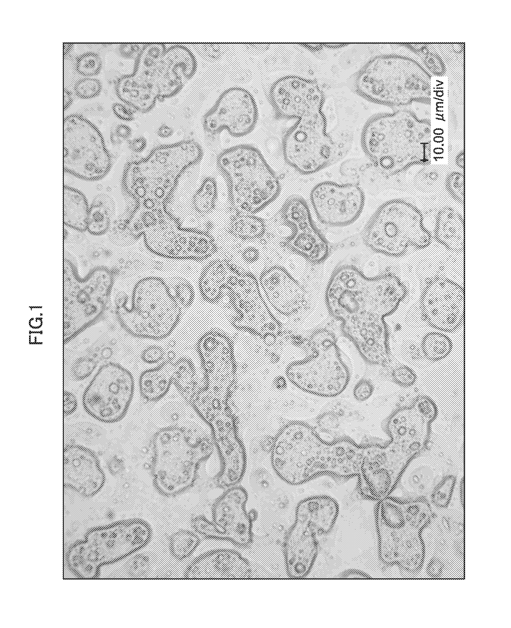 Light scattering sheet and method for producing the same