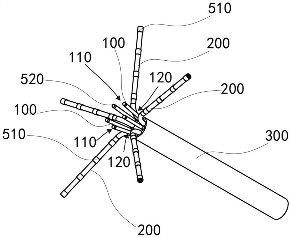 Inflorescence-shaped electrophysiological mapping catheter device