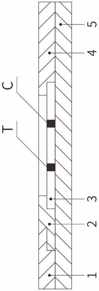 Rapid quantitative fluorescence detection device for 3-deoxyfructose and preparation method thereof