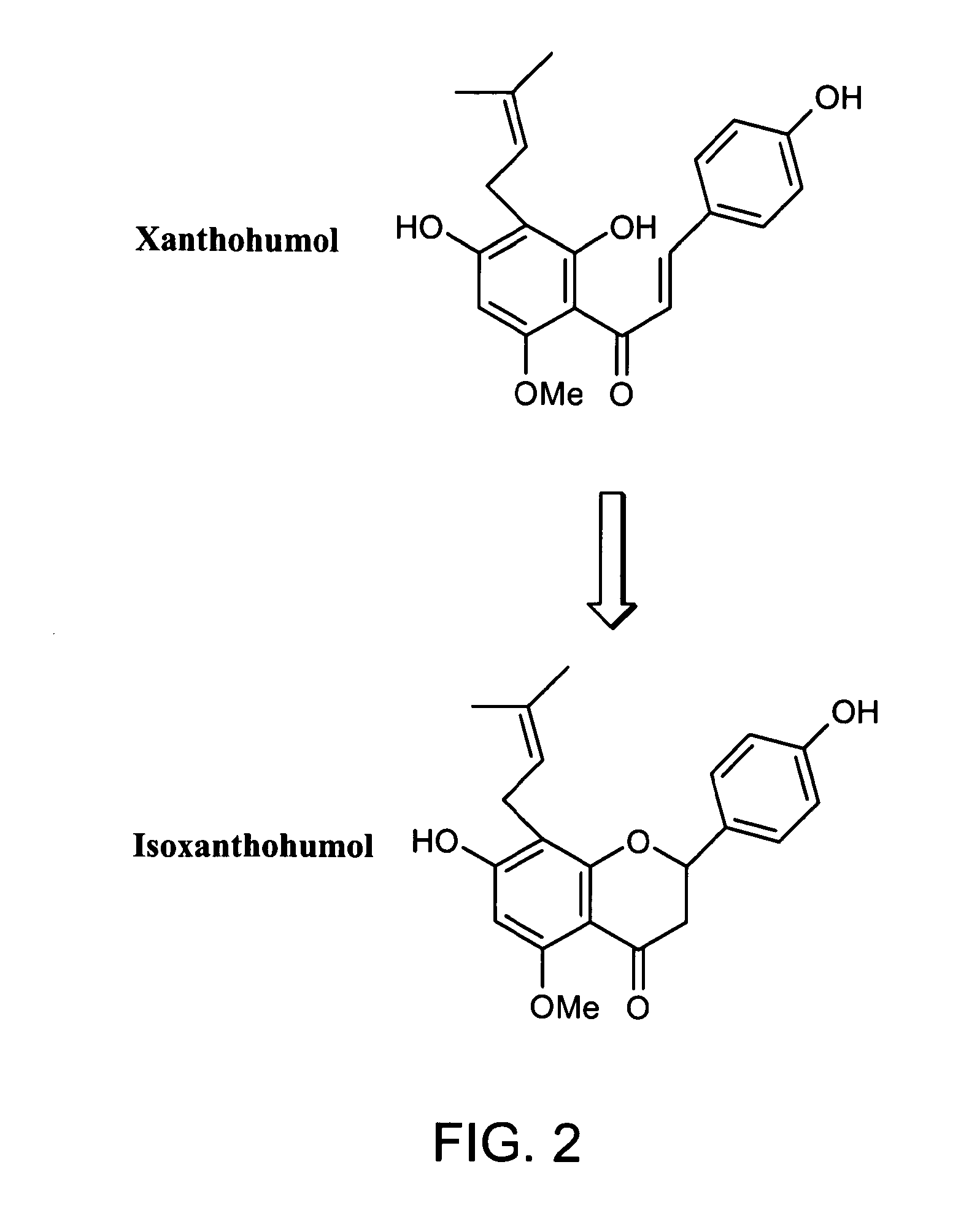 Novel compositions containing xanthohumol-cyclodextrin complexes