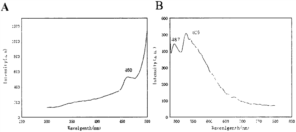 2, 5-thiophene-diformaldehyde-2-amino-4-methylphenol Schiff base and preparation method and application thereof