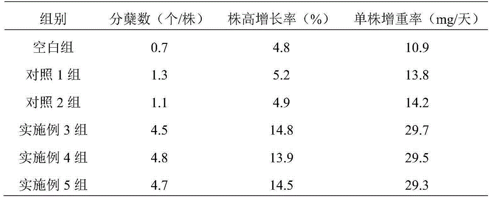 Moisture and light illumination management method for accelerating growth of tillandsia by combining application of magnesium fertilizer