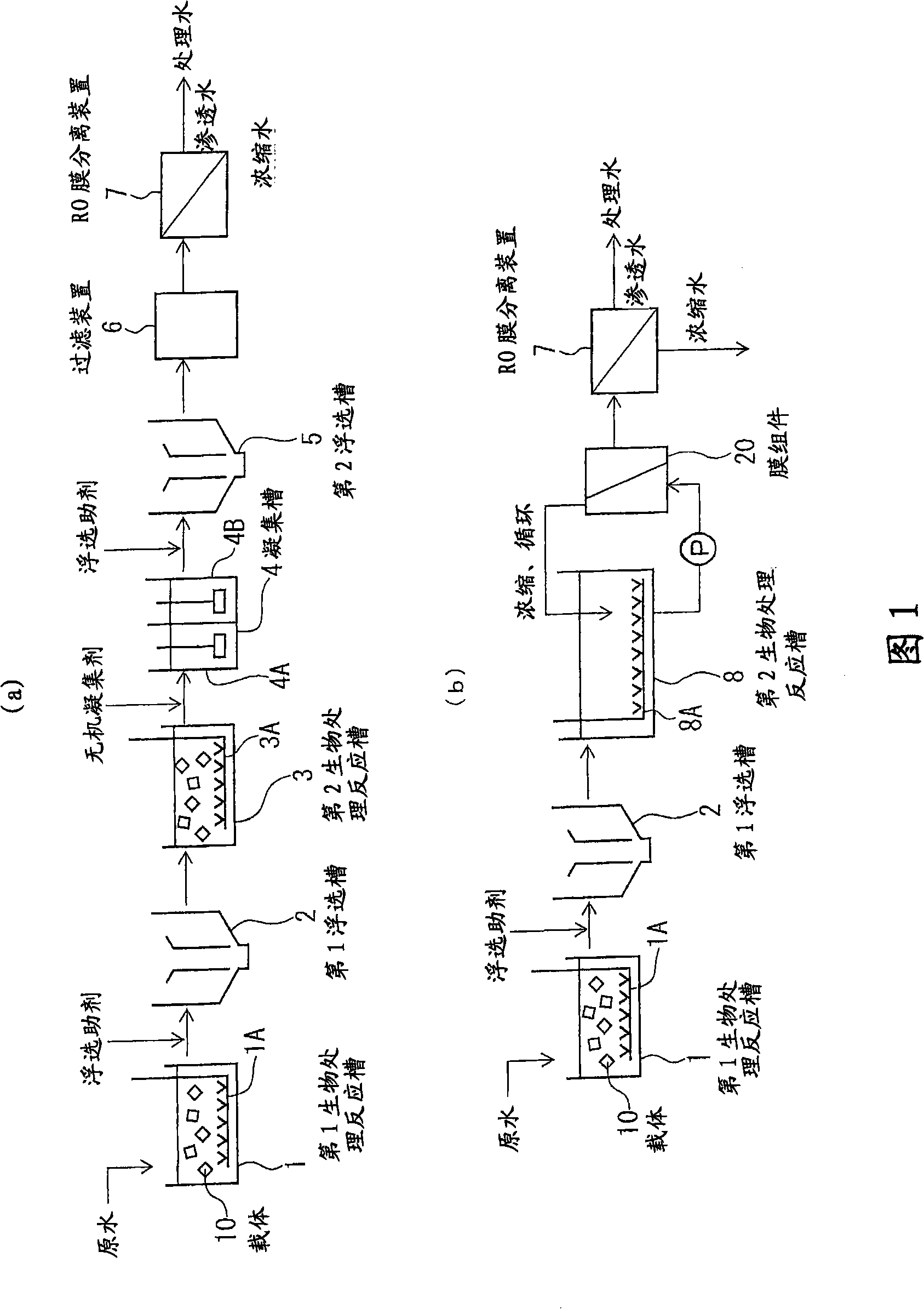 Treatment apparatus for organic wastewater