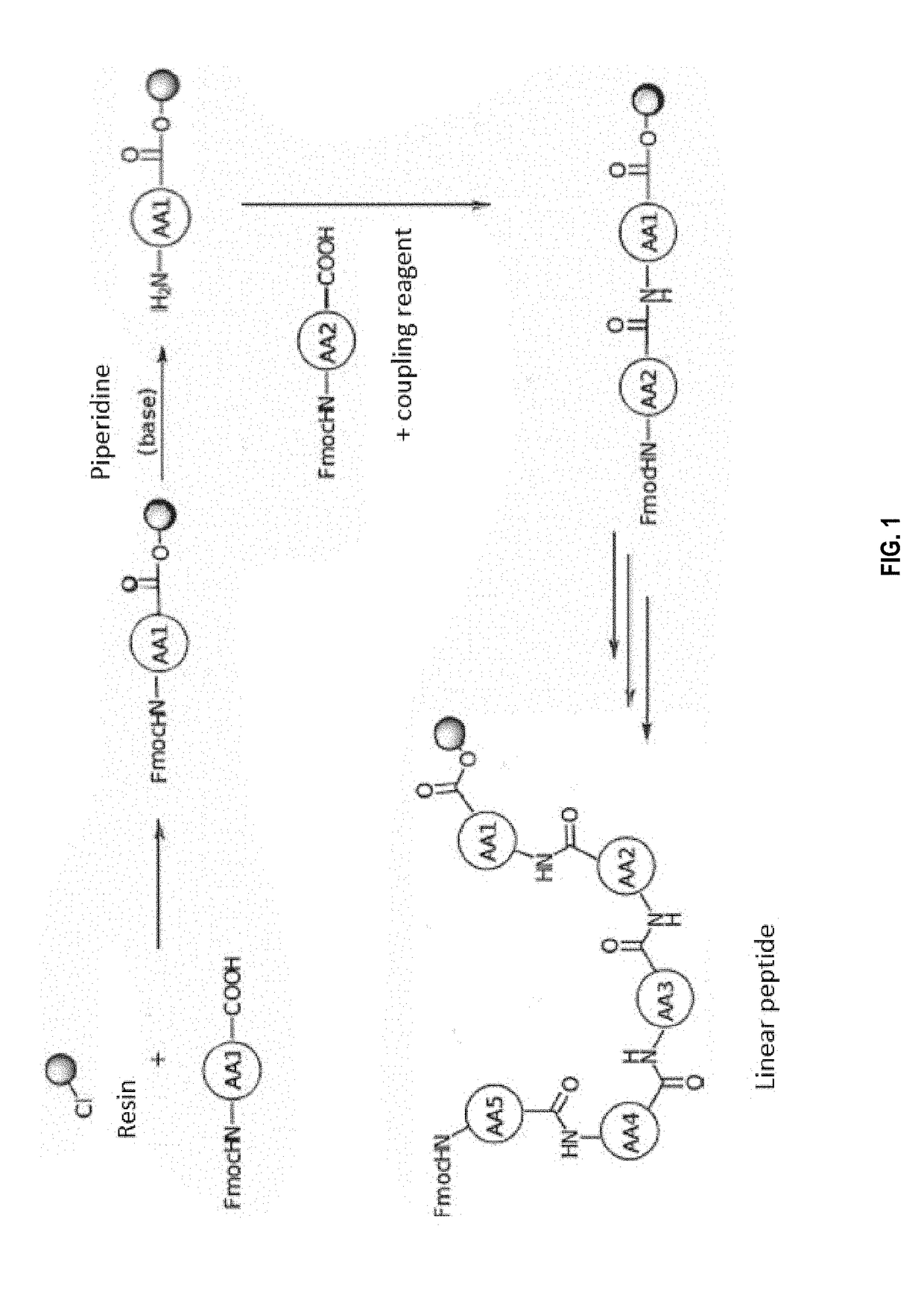 Macrocyclic compounds and methods of preventing or treating pain