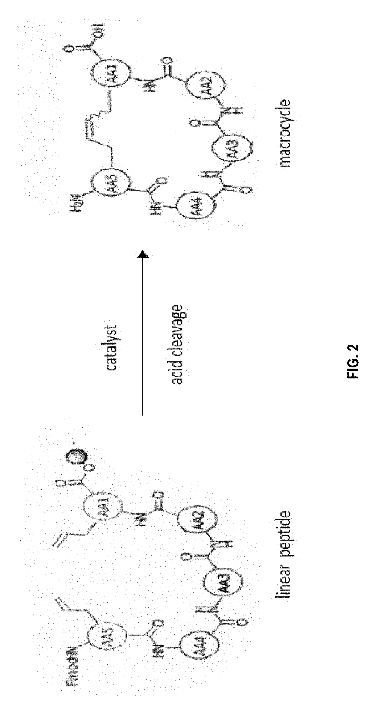 Macrocyclic compounds and methods of preventing or treating pain