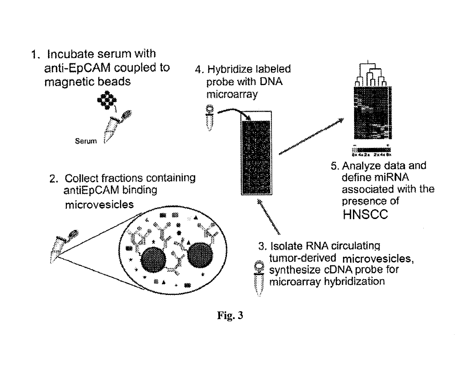 Microrna biomarkers