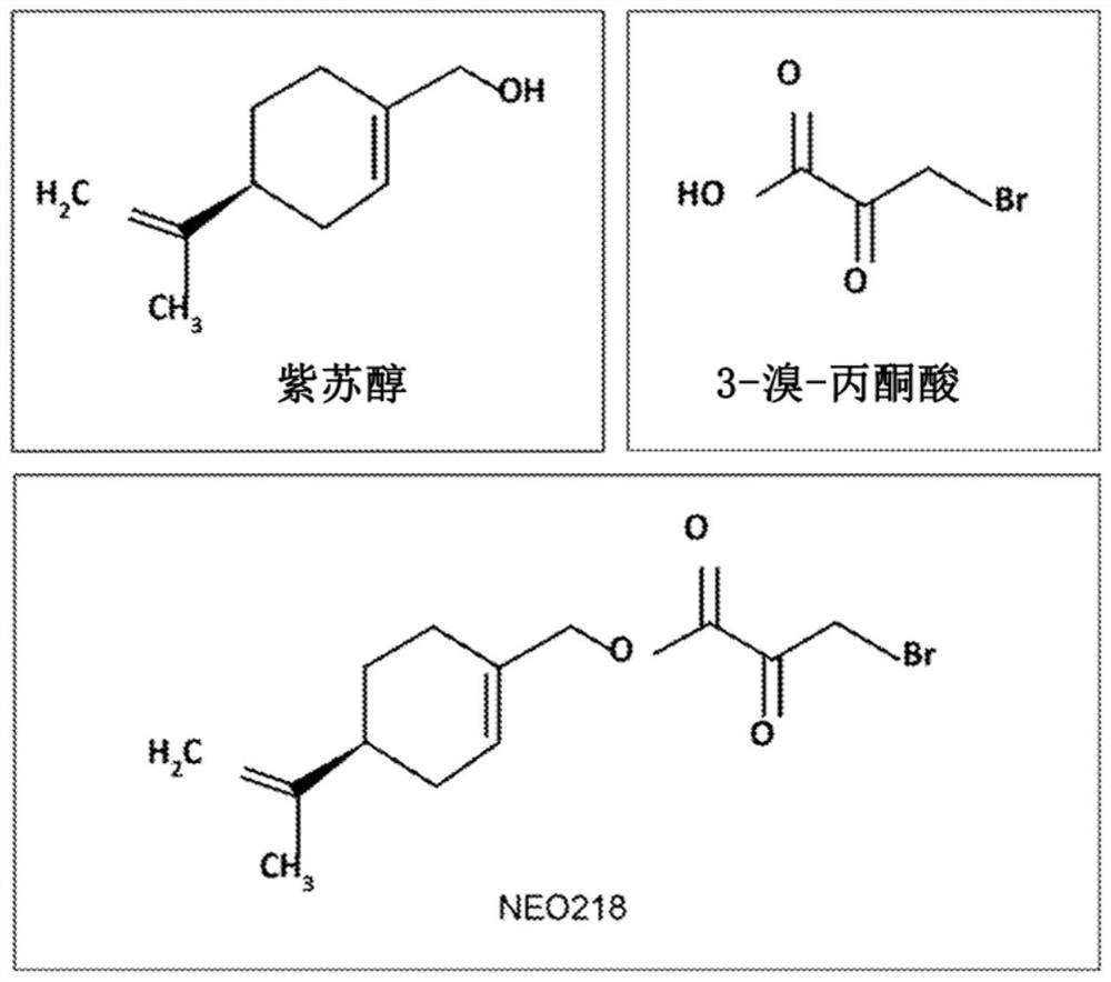 Perillyl alcohol-3-bromopyruvate conjugates and methods of treating cancer
