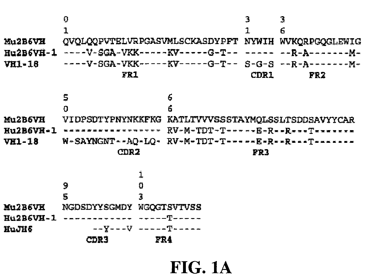Humanized FcγRIIB-specific antibodies and methods of use thereof