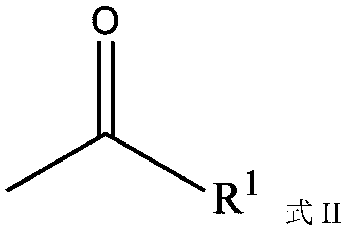 Carbazole sulfonamide derivative co-crystal and preparation method thereof