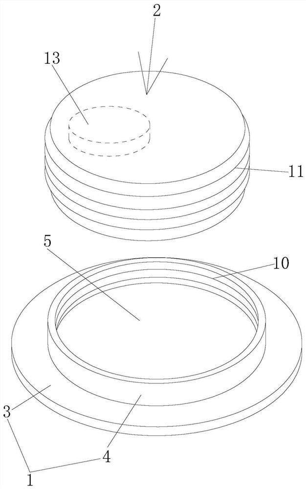 Heart sound auscultation device