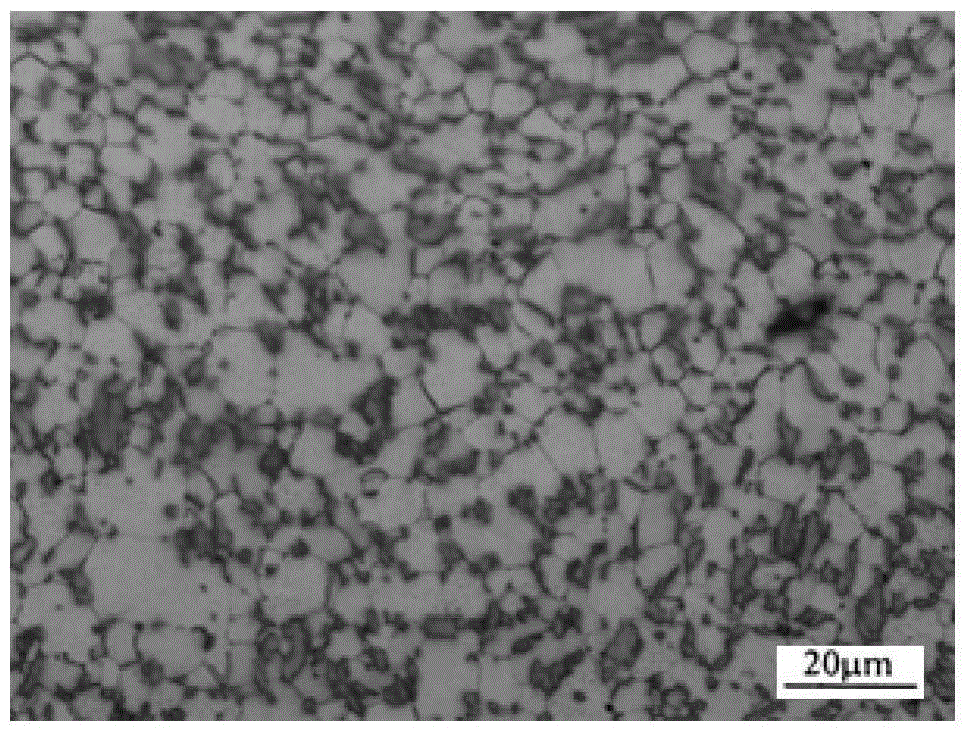 High-strength high-plasticity rare earth magnesium alloy and ...