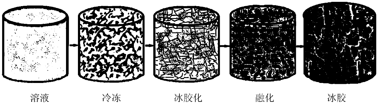 Cryogel three-dimensional structure, its preparation method and application