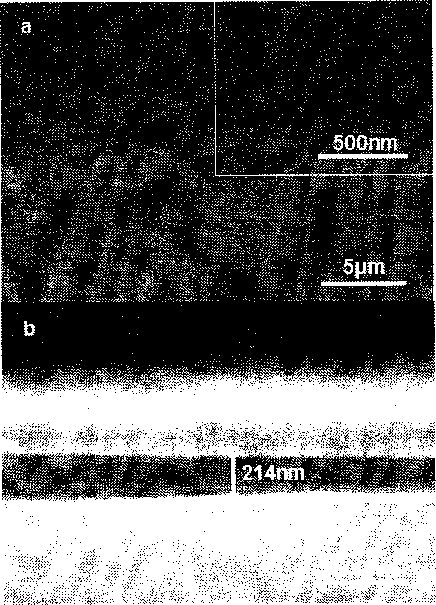 Corrosion resistant hydrotalcite/polyelectrolyte composite film and preparation method thereof