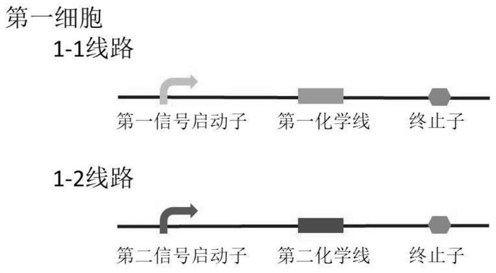 A kind of multi-cell signal size comparator, comparison method and application