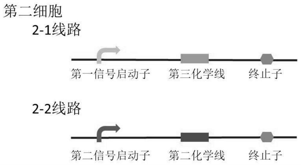 A kind of multi-cell signal size comparator, comparison method and application