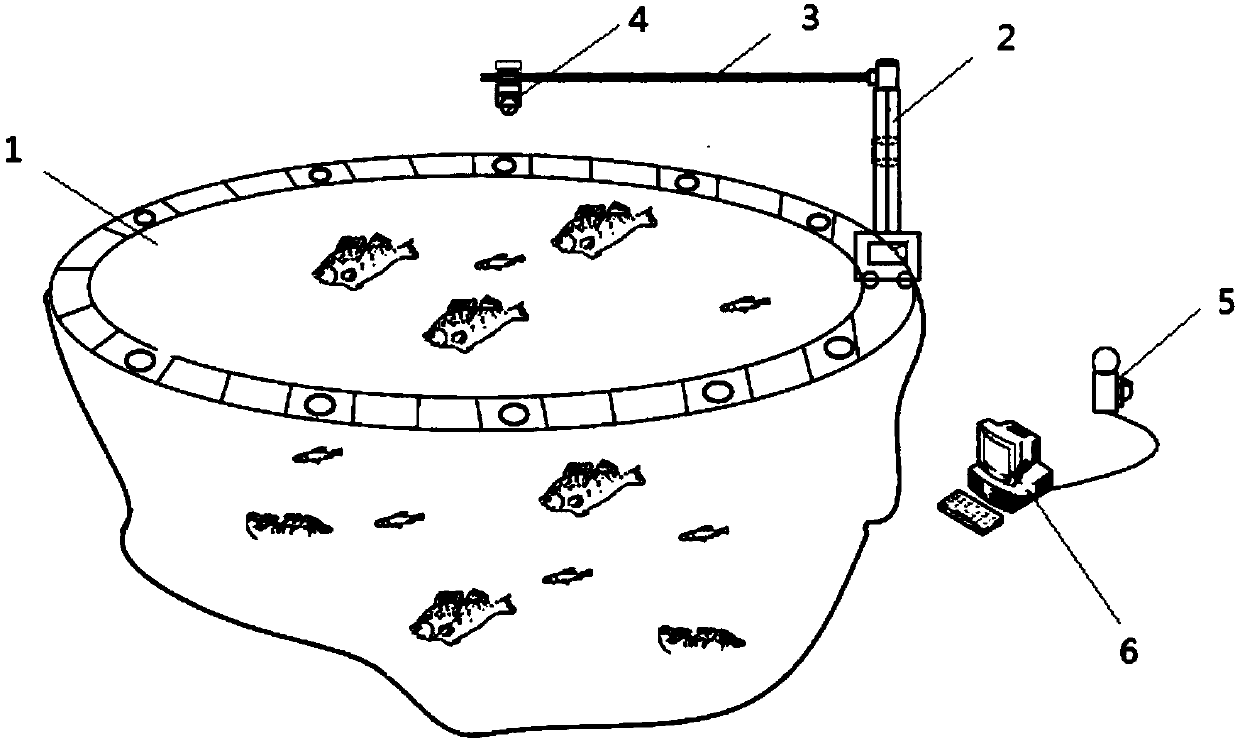 Automatic feeding system for fishpond breeding