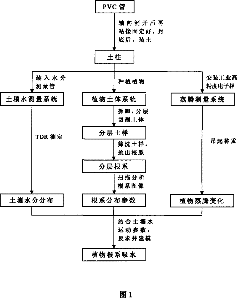 Method for determining the process of root system of plant absorbing soil moisture