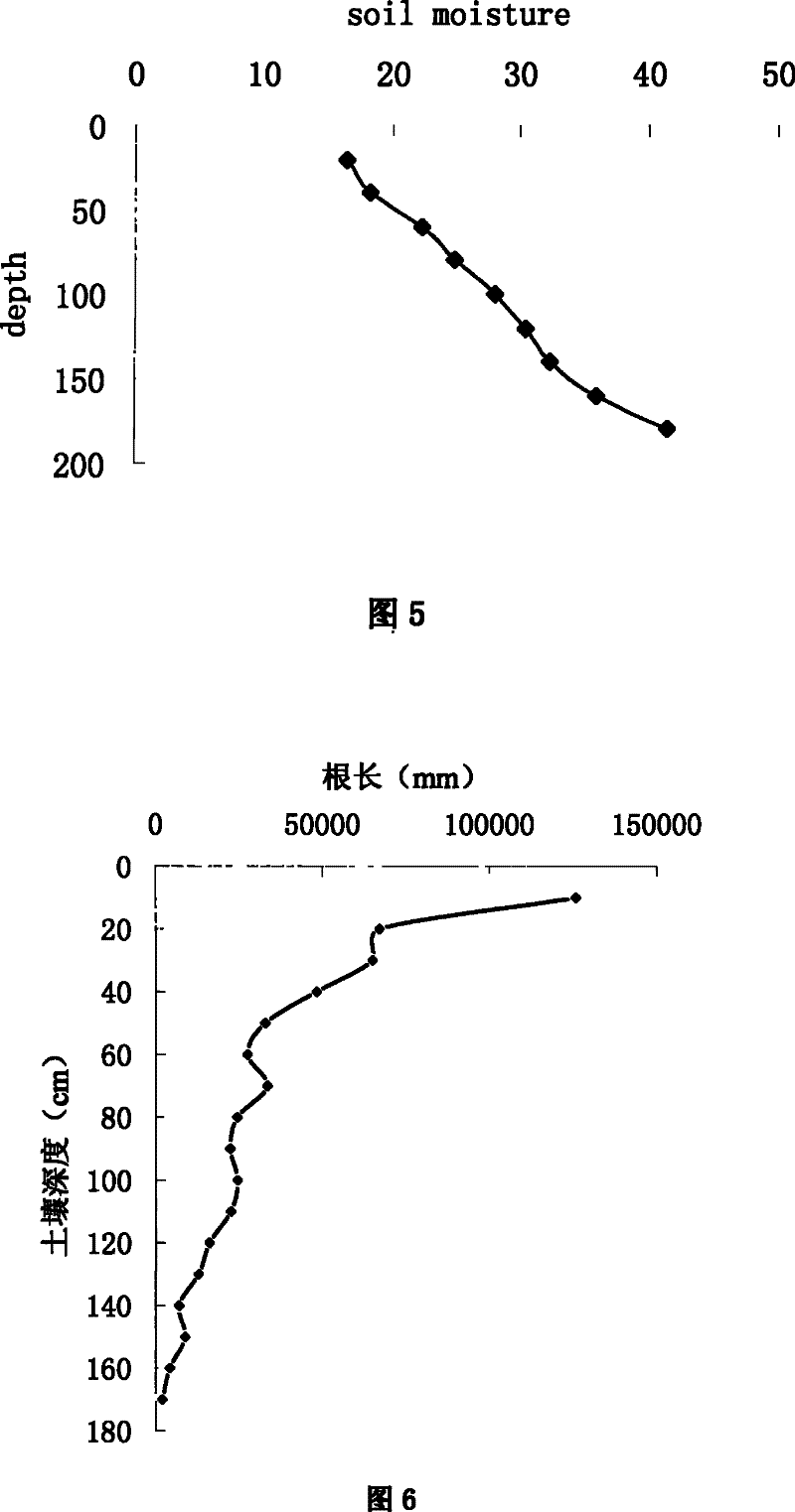 Method for determining the process of root system of plant absorbing soil moisture