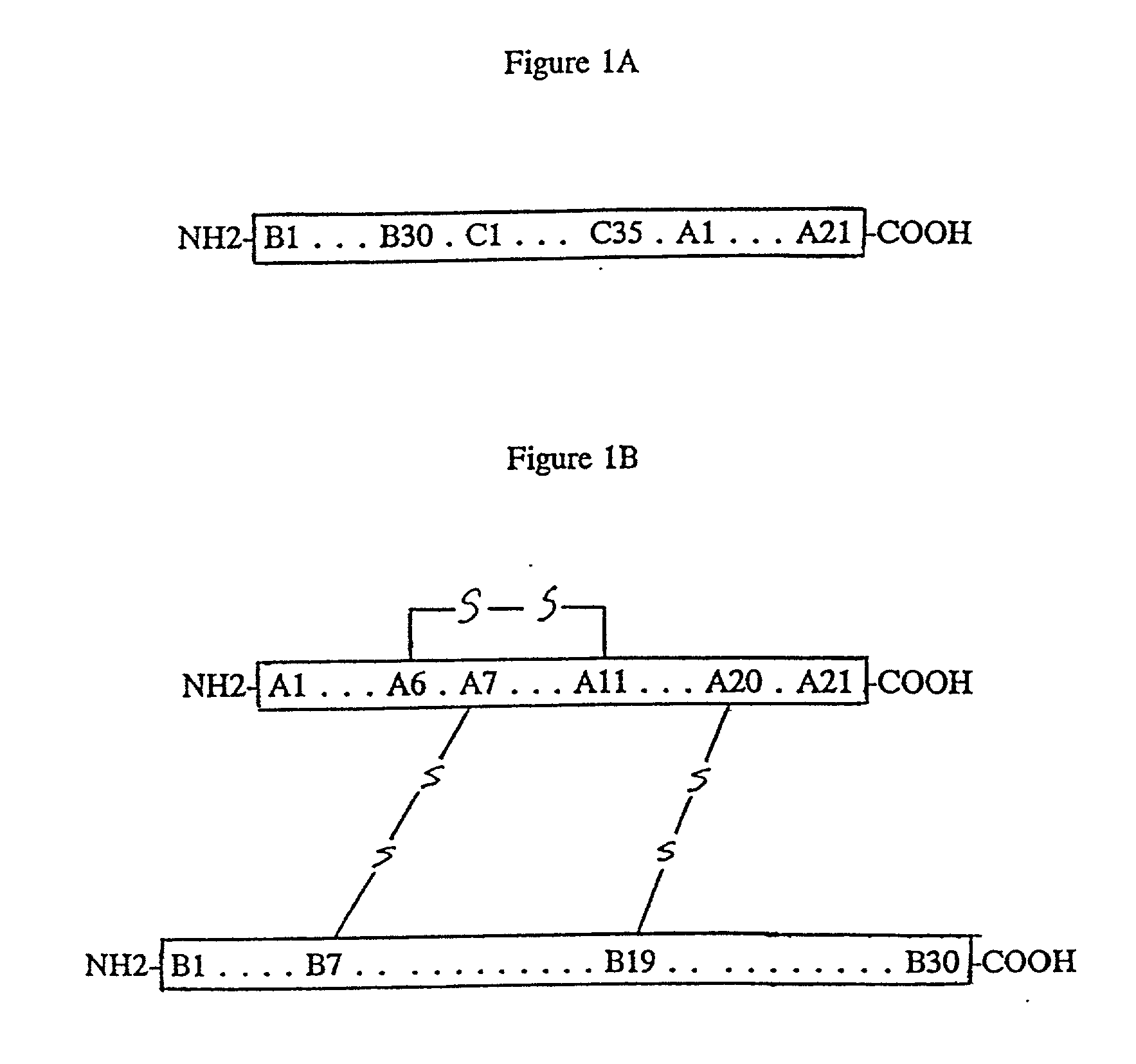 Chimeric protein containing an intramolecular chaperone-like sequence