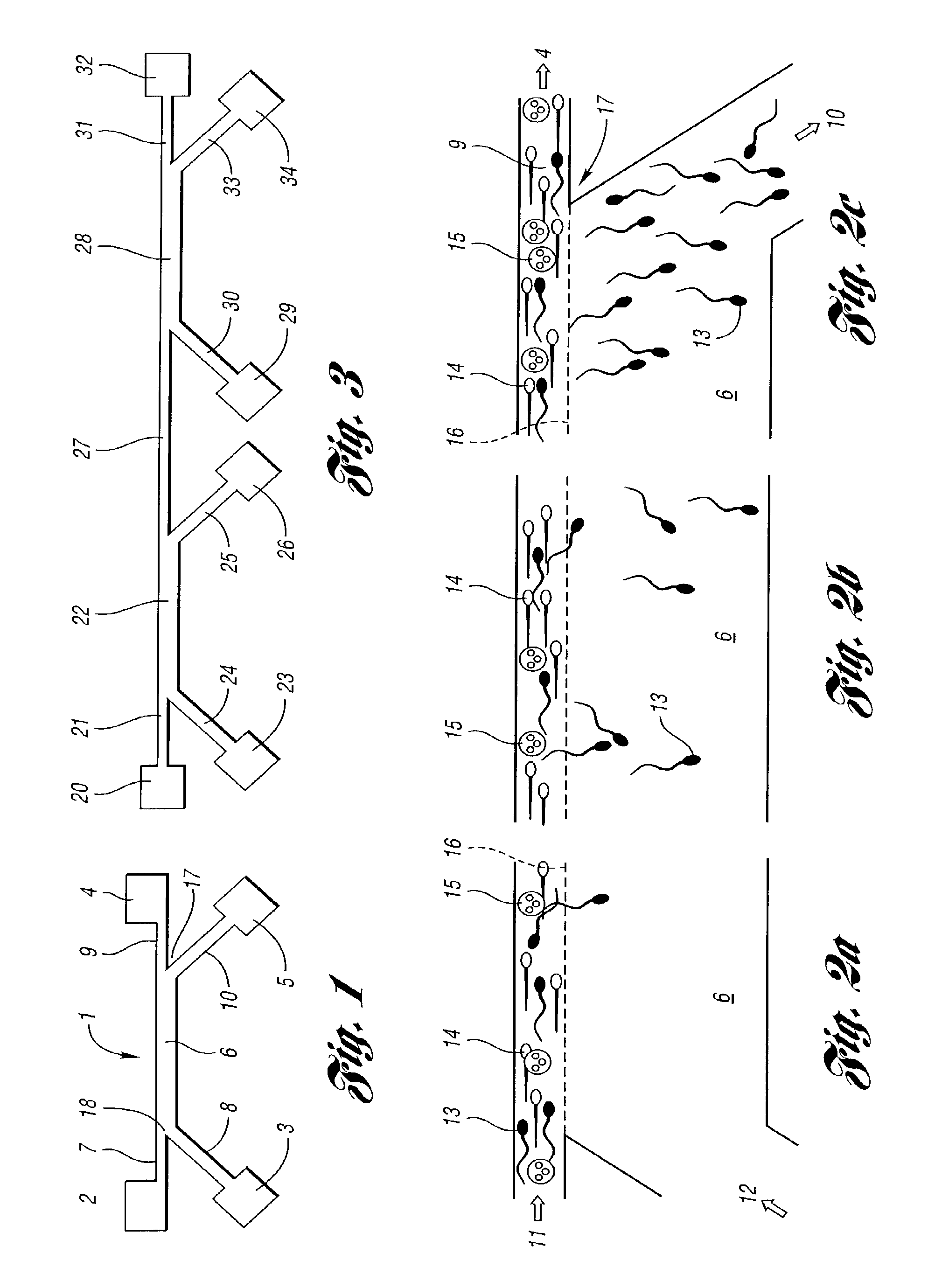 Process for sorting motile particles from lesser-motile particles and apparatus suitable therfor