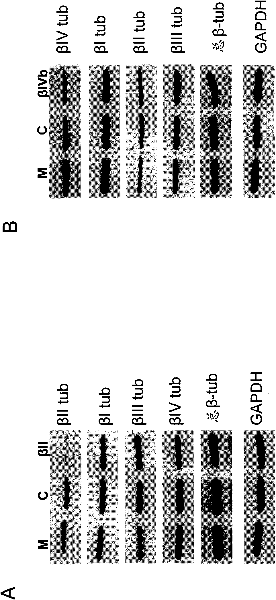 Methods for detecting and modulating the sensitivity of tumour cells to anti-mitotic agents