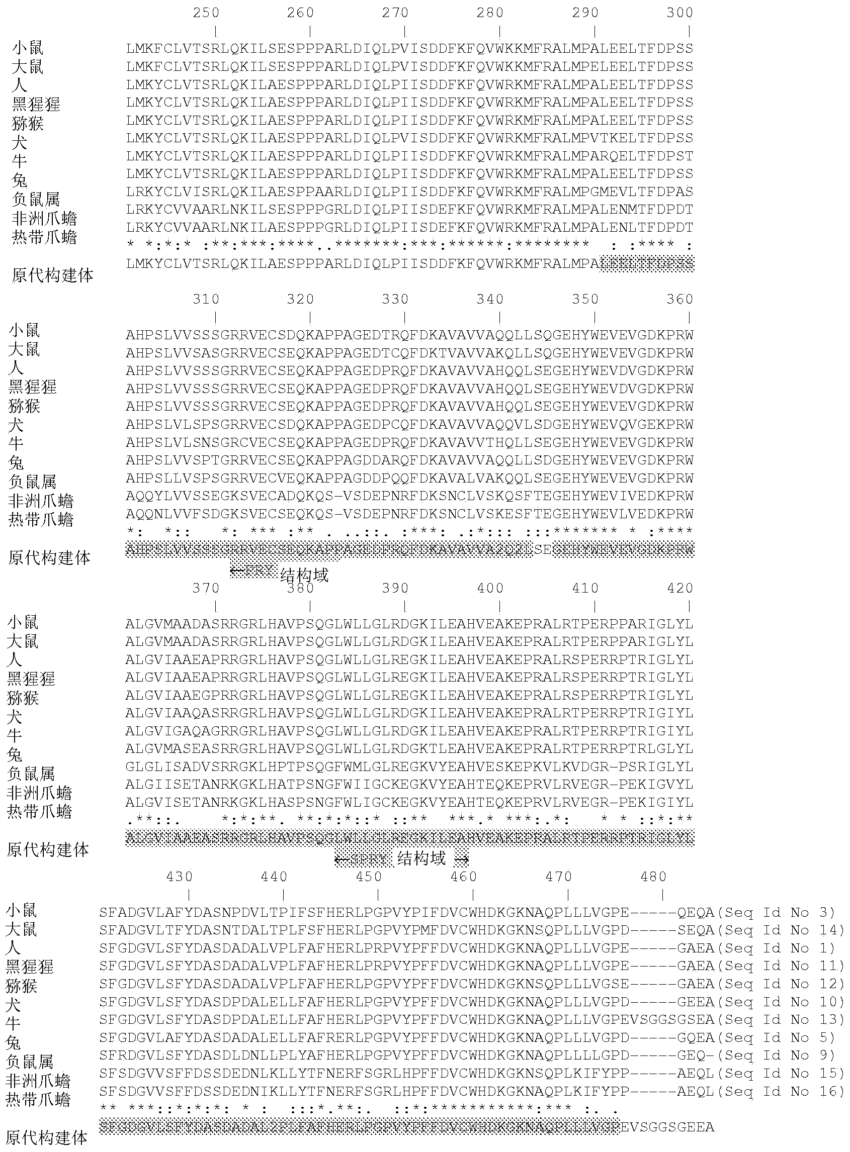 Compositions and methods for the treatment and prevention of cardiac ischemic injury