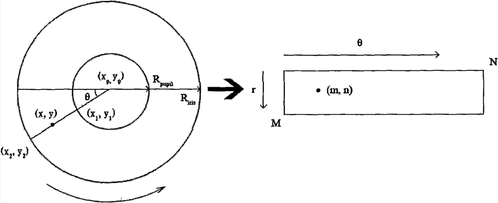 Iris sorting scheme based on kernel clustering