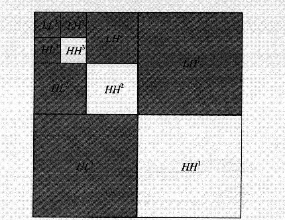 Iris sorting scheme based on kernel clustering