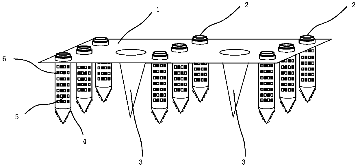 Restoration system and restoration method for constructed wetland