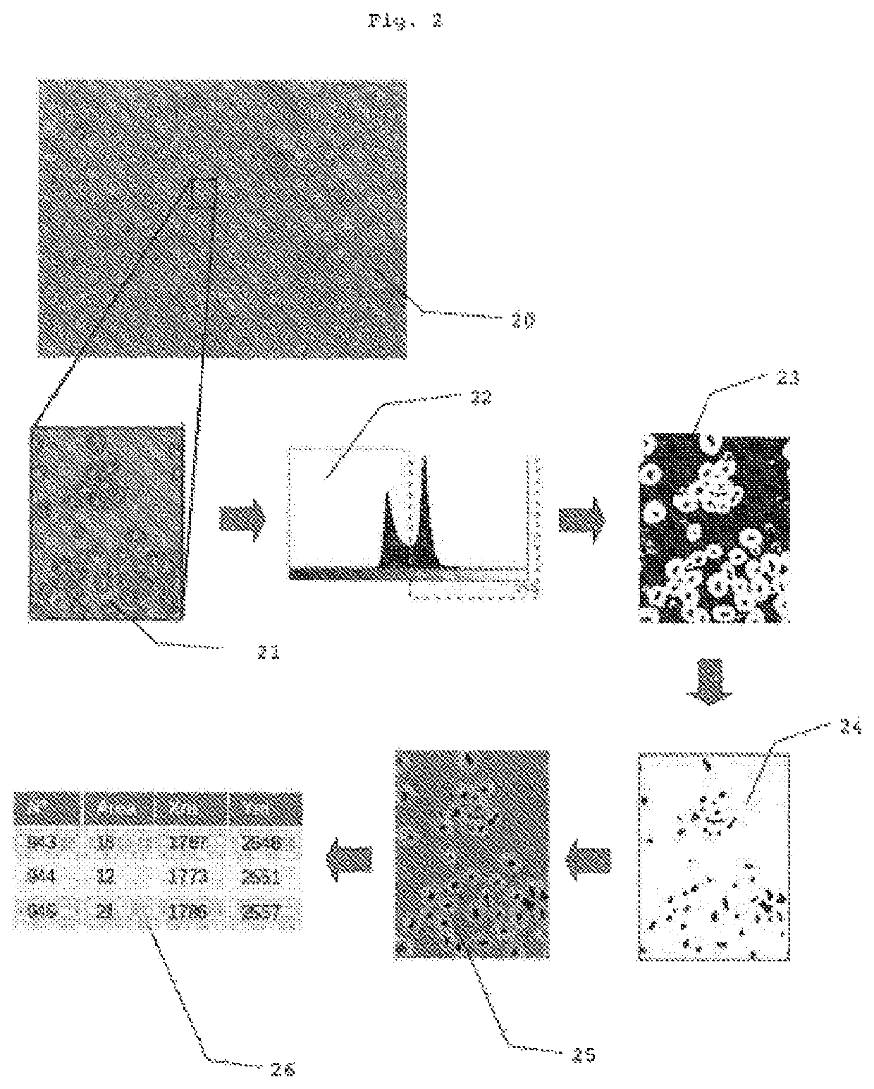 Apparatus for the transfer of bio-ink