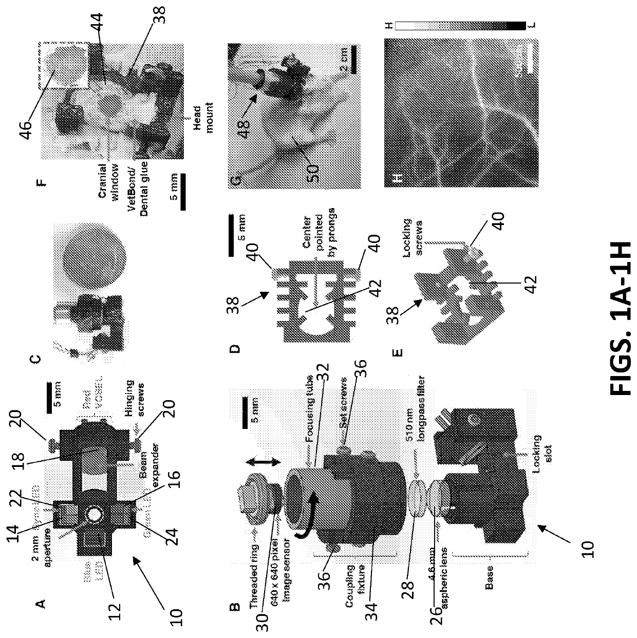 A miniature microscope for multi-contrast optical imaging in animals