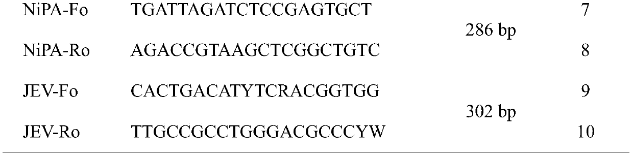 A kind of encephalitis related virus detection kit and its application