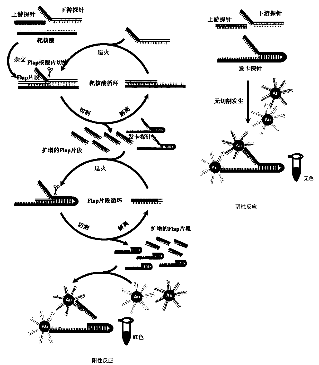 A kind of encephalitis related virus detection kit and its application