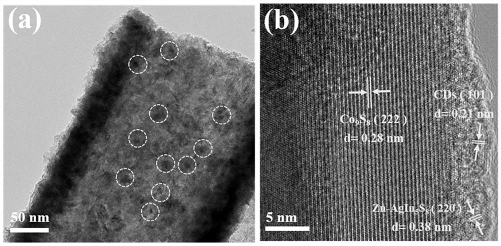 Carbon dot-assisted zn-agin  <sub>5</sub> s  <sub>8</sub> /co  <sub>9</sub> s  <sub>8</sub> Preparation method of quantum dots and application in photohydrolysis for hydrogen production