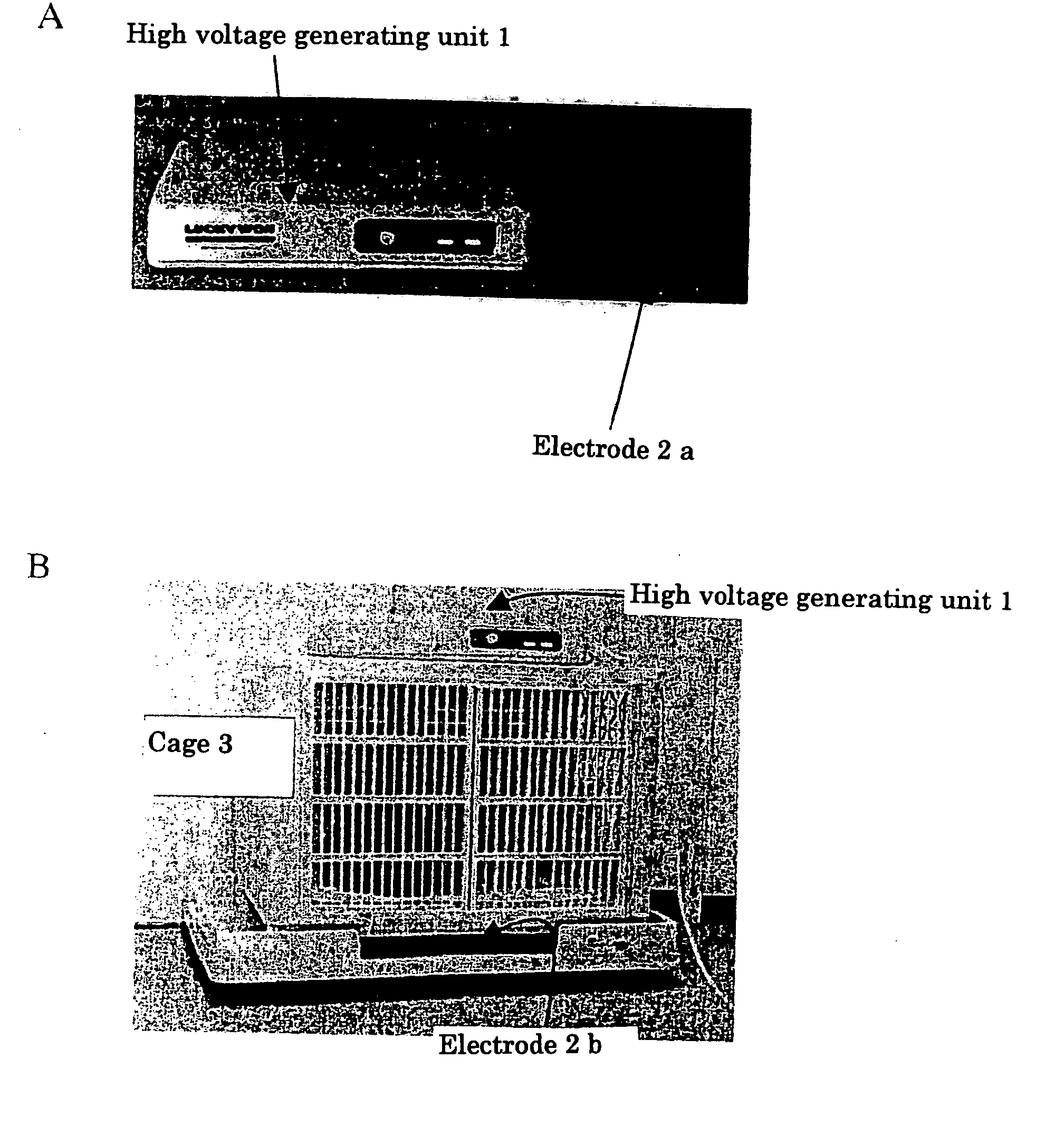 Non-Pharmacological Electric Filed Method and Apparatus for Treating and Improving Rheumatism and Pain