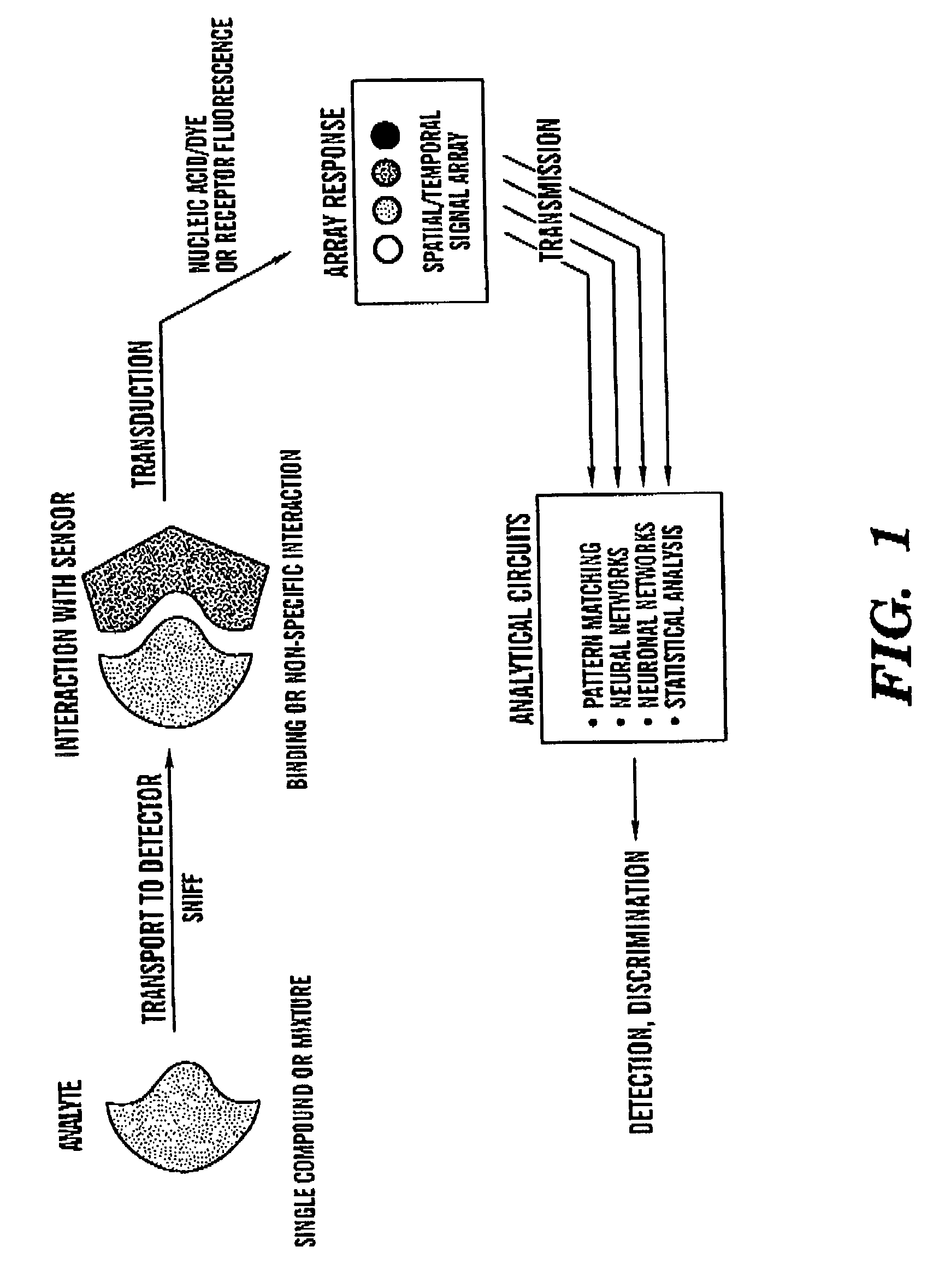 Intelligent electro-optical nucleic acid-based sensor array and method for detecting volatile compounds in ambient air
