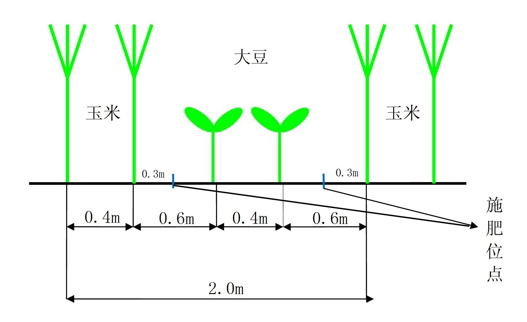 Integral fertilization method for corn and soybean relay intercropping