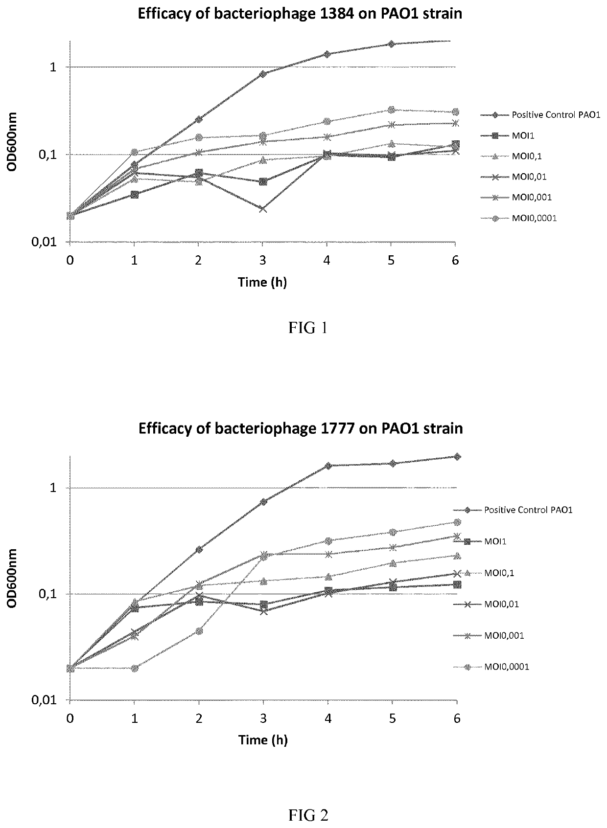 Phage therapy