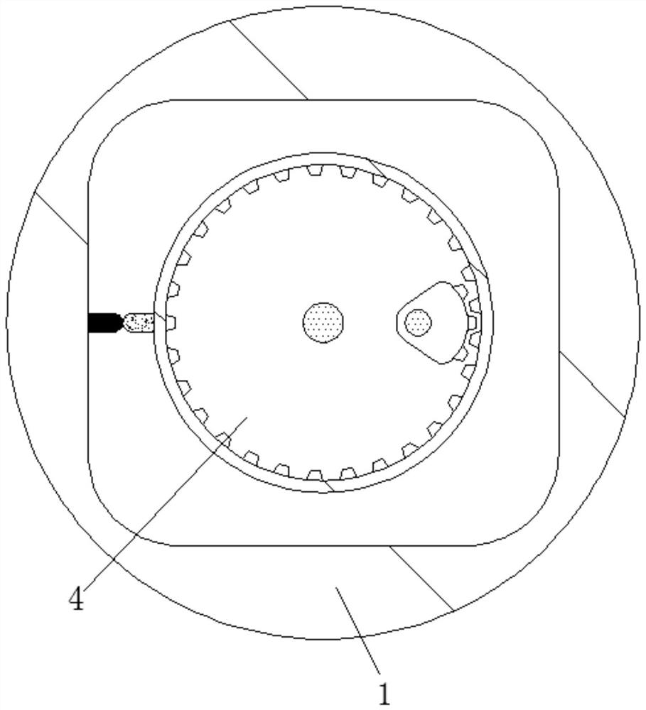 Cutting device for stainless steel water pipe production