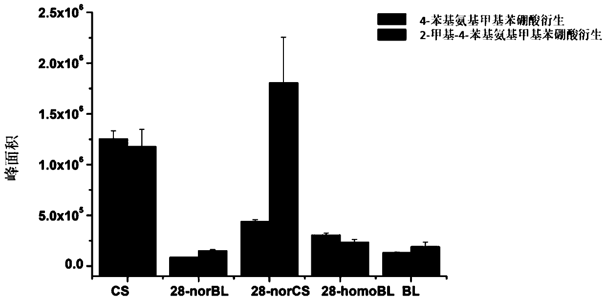 A kind of brassinosterol derivatization reagent and its preparation method and application