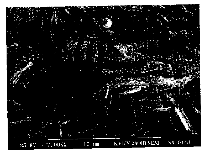 Electrochemically modified graphite electrode