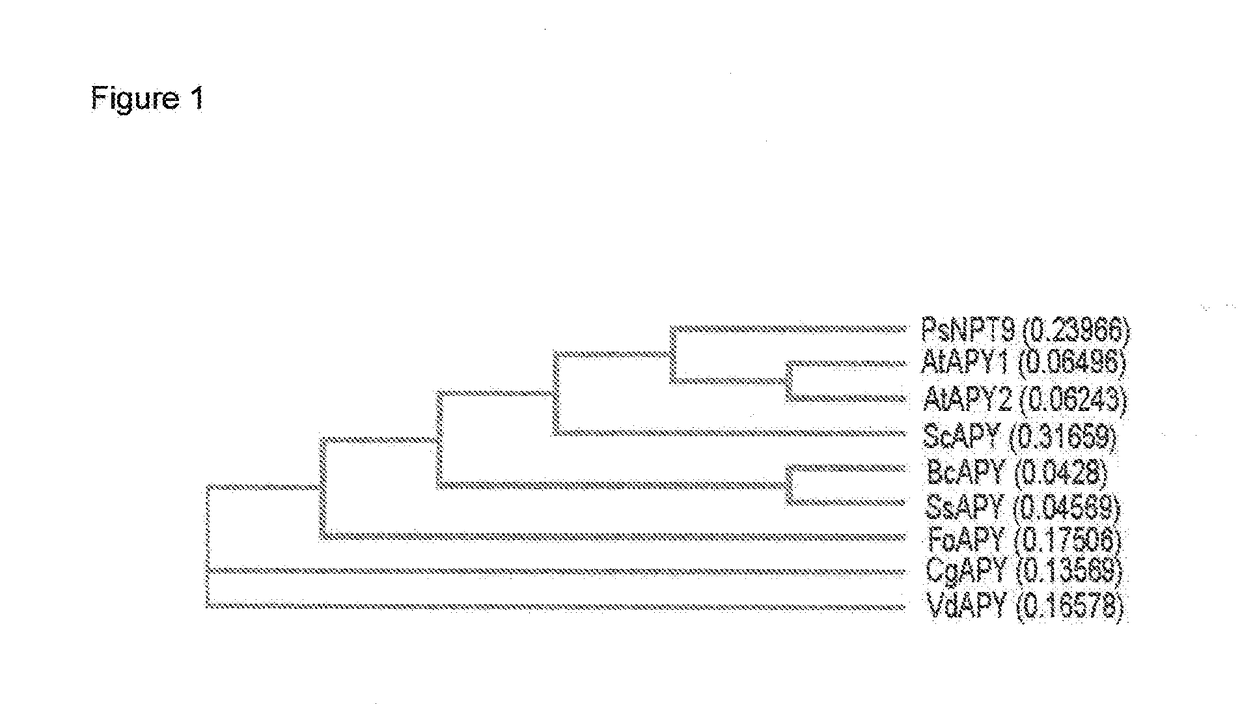 Fungicide enhancers effective for treating plants infected with fungal pathogens